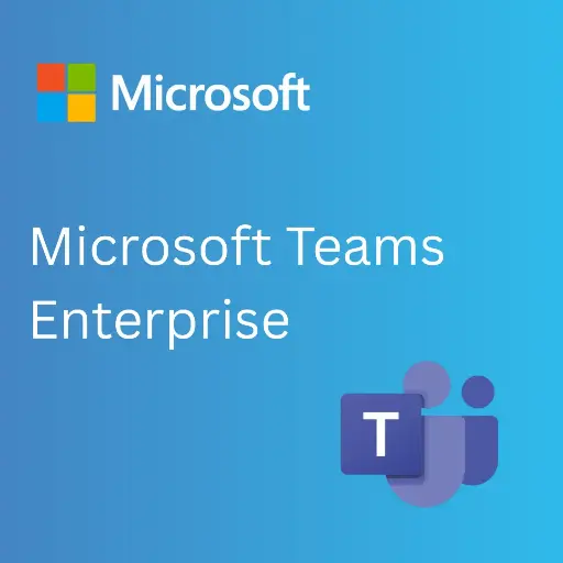 [MISO-TE-0001] Microsoft Teams Enterprise (1 Year)